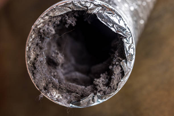 Best Best Air Duct Cleaning Company  in Davenport, FL